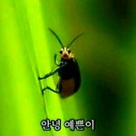 [드루와] <b>첫키스</b> 썰풀고가!