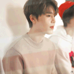 [NCT] 문탤 윈윈 최고 <b>존엄</b>