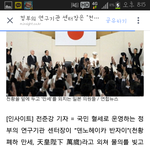 정부<b>이쯤</b>돼면 미친거아니냐