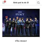 [CHEN] 엑부심 퍽팔!