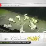 [인피니트] <b>우래기들</b> 또 나왔어ㅋㅋ