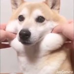 아 진짜 나 짝남한테 별것도 아닌걸로 <b>설레</b>해서 한심해
