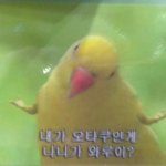 [EXO] 뜬금포라 미안한데