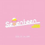[세븐틴] 지금부터 스밍하자 <b>캐럿</b>덜