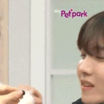 [방탄소년단] ㅇ...요정이댯..! 요..요저엉..!