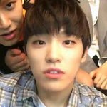 [세븐틴] 와 오늘 토요일이냐