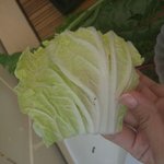 [발암주의] 인생최악의 샤브샤브집