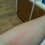 [댓글부탁해] 들어와서위로해줘ㅜㅜ..