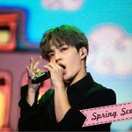 [세븐틴] 뉴욕 <b>케이콘</b>은 리즈 중에서 대대대대대대대리즈다