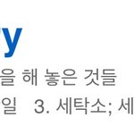 [세븐틴] 세탁기에 뭐 있는듯