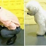 [EXO] 비비 오세훈 강아지가 아니고 <b>아들</b>이네