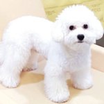 [EXO] 야 나 지금 개쩌는 남자 봄 ㅁㅊ 대박 개설레