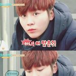 [세븐틴] 난 쩍알못에서 개터졌는뎈ㅋㅋㅋㅋㅋㅋ