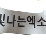 [EXO] 스탠딩때 슬로건이 <b>빳빳</b>하다고?ㅋㅋㅋㅋㅋㅋㅋ