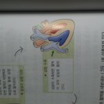 [공판] 중2 과학 <b>순환</b> 제발 한번만