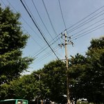 오 <b>푸디</b>