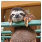 얘들아 <b>마리</b>모 이름 좀 지어줘 ^!^
