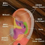 [댓글부탁해] 중1이고 시험끝나고 피어싱하려고하는데..