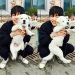 [방탄소년단] ㅋㅋㅋㅋㅋㅋ나일코중인 이삐인데..