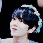 [백현] 백현 <b>화관</b> 플뷰