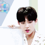[세븐틴] 우리 이제 <b>정화</b>하자..