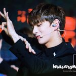 [세븐틴] 기분 <b>풀자</b>
