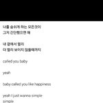 [세븐틴] 콘서트때 짹에올라온 <b>심플</b>가사