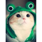 [10대의성] 남친이랑 있을때 <b>의지</b>가 흐트러져