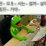 [조언부탁해] <b>시험공부</b> 어떻게 해...?