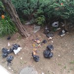 아파트 베란다 쓰레기 <b>투척</b>