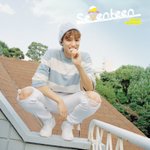 [세븐틴] 생일대로뜬다면