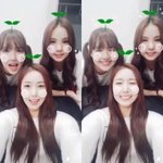 [여자친구] 여친이들이 빨리 보고 싶네~