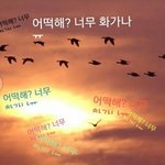 [EXO] 어떡해? 나 너무 <b>화나</b>ㅠ
