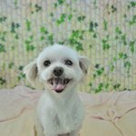 보이지 않을 만큼 눈물자국이 심한 <b>미나</b>에게 새 삶을 주실 가족을...