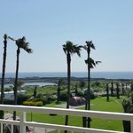 [고양이] 175일째 육아육묘