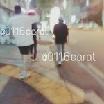 [세븐틴] 애들 휴가 받았나봐