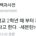 [세븐틴] 얘들아 이거 멋있지 않아...?