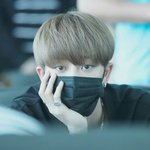 [세븐틴] 근데 명호는 진짜