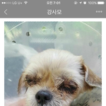 삼정동 강아지 폭행사건 소식입니다(펌)
