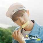 [세븐틴] ㅅㄷ 티저 배경 좀 흐리지 않아?