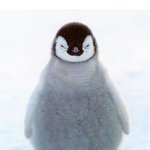 [시우민] 시우민 <b>펭귄</b> 어덜트 버전~