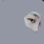 [조언부탁] <b>무쌍</b>. 속쌍. 겉쌍비교+쌍수추반