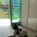 [도와주세요] [고<b>나비</b>] 무섭습니다.