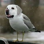 [댓글부탁해] 너희 3<b>인칭</b>이 그렇게 듣기 싫더냐