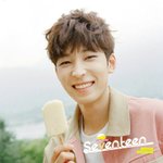 [세븐틴] 내 조그만 바램