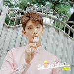 [세븐틴] 솔직히 핑쿠 완댜<b>님</b>아니냐