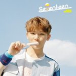 [세븐틴] 애들 노래는 거의다 벅차는거같애...