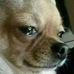 이제부터<b>라도</b>하면될까모르겟어