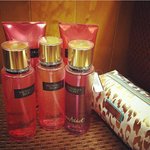 [세븐틴] ㅋㅋㅋㅋㅋ슨가니초이스