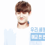 [세븐틴] 셉나잇